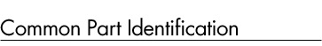 Common Part Identification