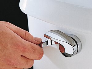 Dual flush