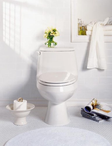 American Standard 2099.016, 2100.16; Cadet; round front / elongated one piece toilet repair technical part breakdown