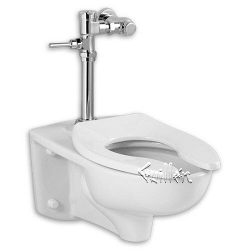 American Standard 2856111; Afwall; everclean 1.1 manual flushometer system repair replacement technical part breakdown