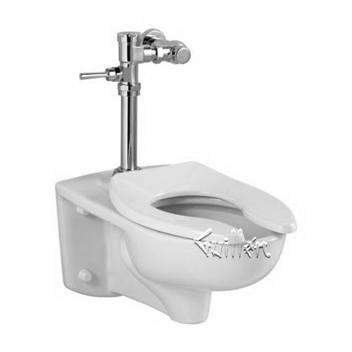 American Standard 2859128; Afwall; 1.28 manual flushometer ts system repair replacement technical part breakdown