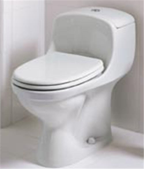 Porcher 97120.00.001; Veneto; 1 piece toilet; in Unfinish