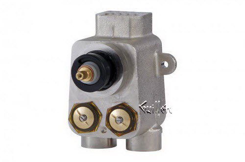 Aquabrass 3000; Totem; 3/4" thermostatic valve; in Unfinish