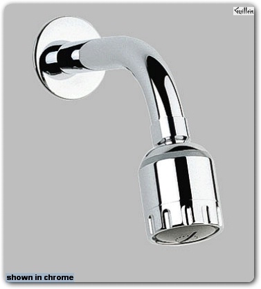 Grohe 28205 Eurotrend; Adjustable Shower Head