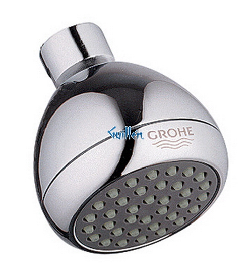 Grohe 28342 Relexa; Non Adjustable Shower Head