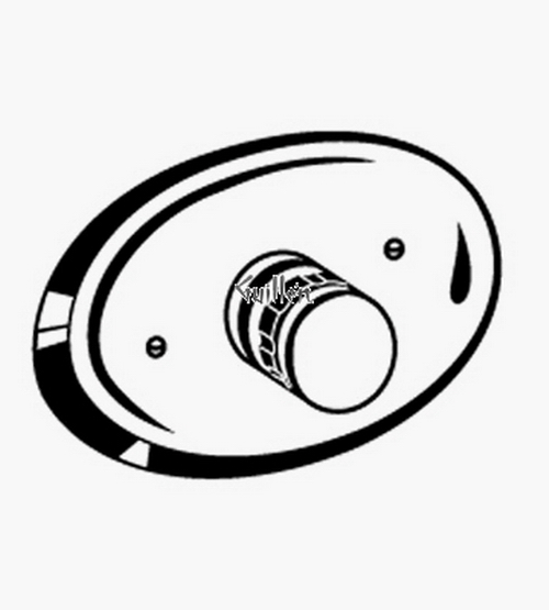 Grohe 34419 Grohmix; Thermostatic Valve 3/4" NPT
