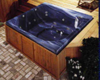 Jacuzzi Echo and Essence Series; ; jacuzzi echo and essence series spa matrix for echo z100; z101; z110; z112; z115; z120; z130; z135; z140; z145; z150; z235; z240; z255; essense 300; 301; 310; 315; 320; 330; 335; 240; 345; 350; 350 scroll below at the echo matrix and compare the models or series plus view the options provided until you are sure that you have the correct parts catalog page. all known references are direct parts links can be found in your echo spa model parts page. beware when you see 2 of the same model number as you will identify beter from the series comparison pictures.; in Unfinish