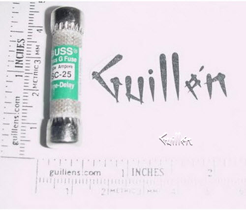 Jacuzzi 6000-025; ; fuse 25 amp 300 volt; in Unfinish