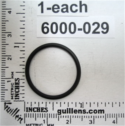 Jacuzzi 6000-029; ; o-ring dual air control; in Unfinish
