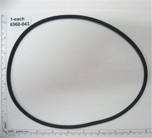 Jacuzzi 6560-043; plastic heater o-ring high flow heater element; in Unfinish