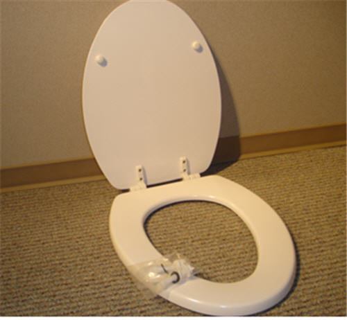 Jacuzzi DP57959; Era; Toilet seat wood; in White; product Discontinued