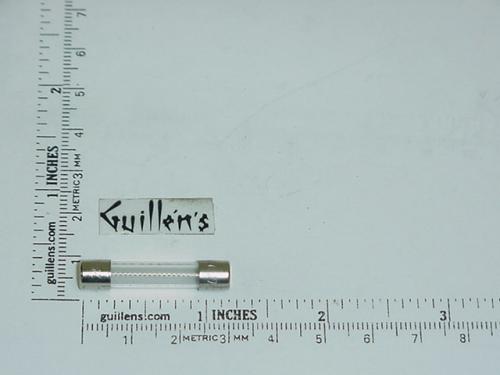 Jacuzzi F586000;; Fuse 10 amp; Unfinish