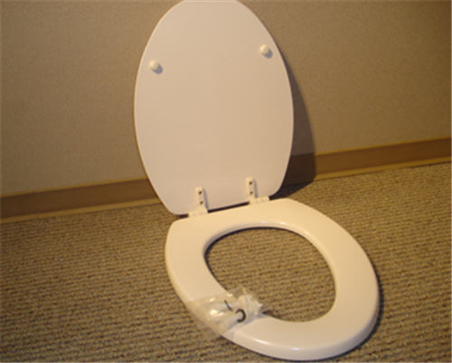 Jacuzzi GR12959; Maxima; elongated toilet seat; in White