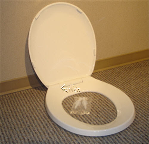 Jacuzzi MM98000; Perfecta; slow close toilet seat round toilet seat plastic; in White   GU93959; DY29959