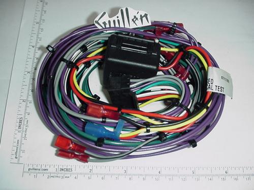 Jacuzzi R800000; Triton; Wiring harness cd; Unfinish; Discontinued Product
