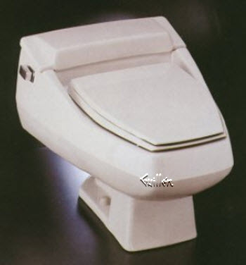 Kohler K-3385-C Rochelle Toilet w/Flush Valve Flapper Elongat