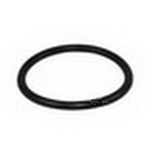 Sloan 5308696; ; H-553 o-ring quantity pack only (one each); in Unfinish
