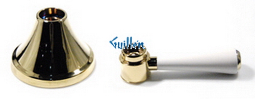 Toto THU4139; Clayton; metal handle assembly-lifekoat - shower; in Polished Brass