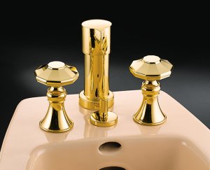 Kohler K-16132-8 Revival Bidet Faucet Vertical Spray with Dome H