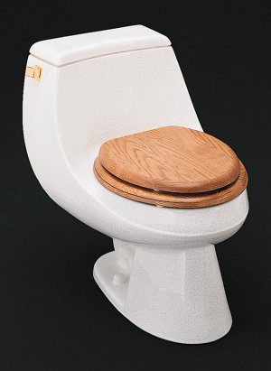 Kohler K-14289-TL Fables & Flowers Design on San Martine Toilet