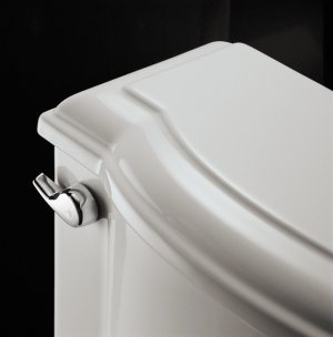 Kohler K-9442 Devonshire Trip Lever