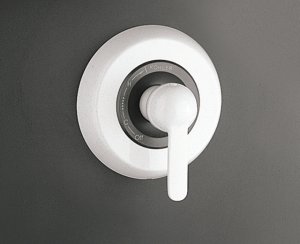 Kohler K-T14542-4 Paladar Rite-Temp Pressure-Balancing Valve Tri