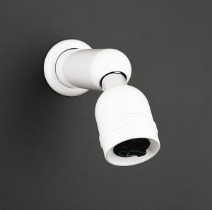 Kohler K-9506 MasterShower 1-Way adjustable Showerhead