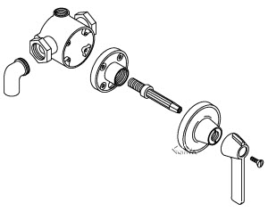 Kohler K-7217 Niedecken Exposed Shower Faucet