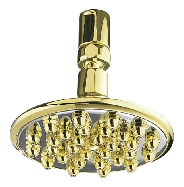 Kohler K-9528-1 Vivacia Rain showerhead with contrasting facepl