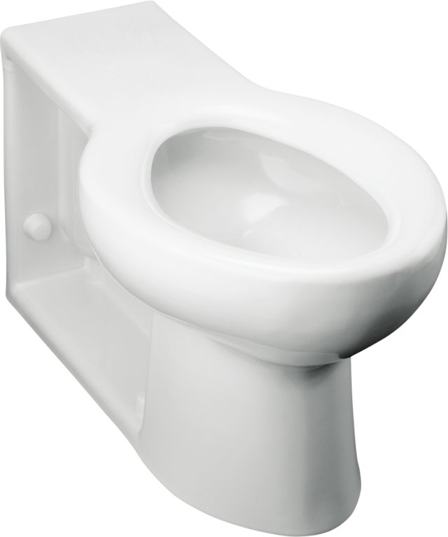 Kohler K-4398 Anglesey(TM) elongated bowl with integral seat and rear spud