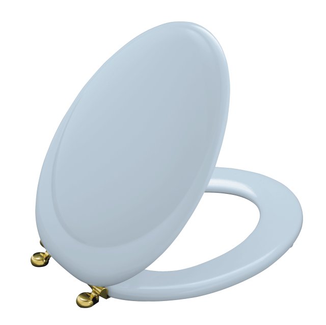Kohler K-4615-BR-6; Revival (R) toilet seats with Polished Brass hinges; in Skylight; Discontinued Product