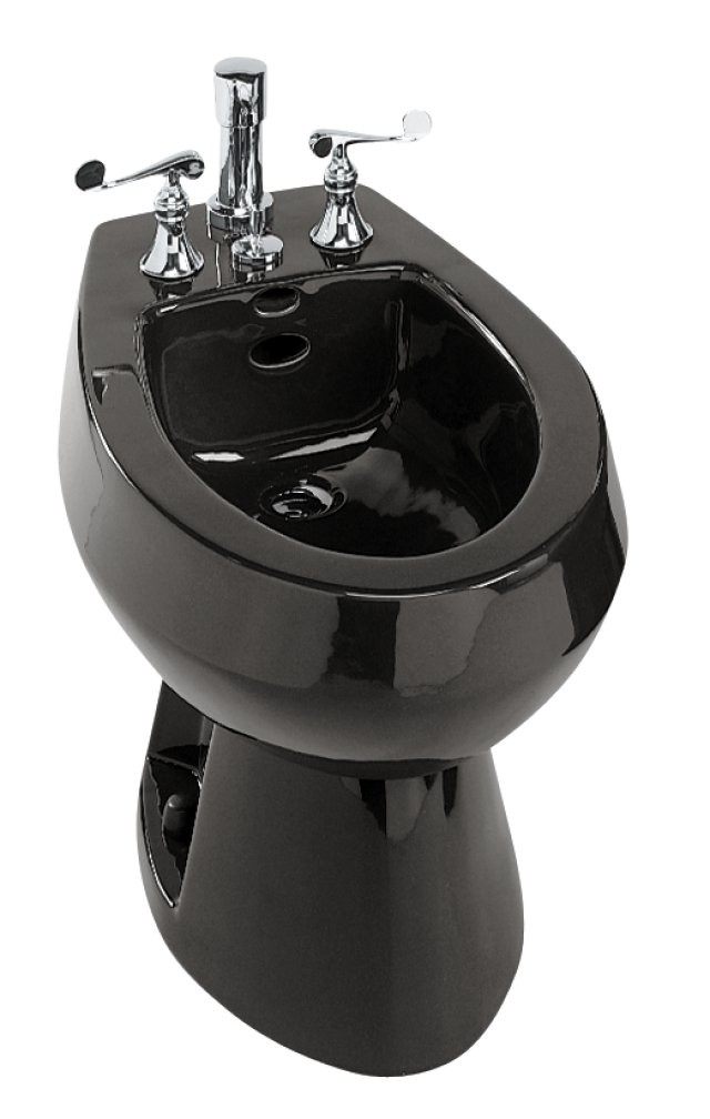 Kohler K-4854-58; San Tropez (R) bidet plumbed for vertical spray bidet faucet; in Thunder Grey