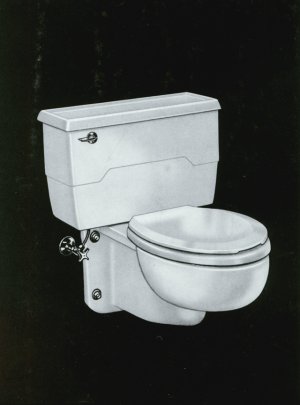 Kohler K-3440-PT Cayuga Wall-Mount Toilet