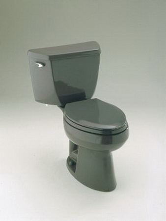 Kohler K-3516-CT Northline Water-Guard Toilet