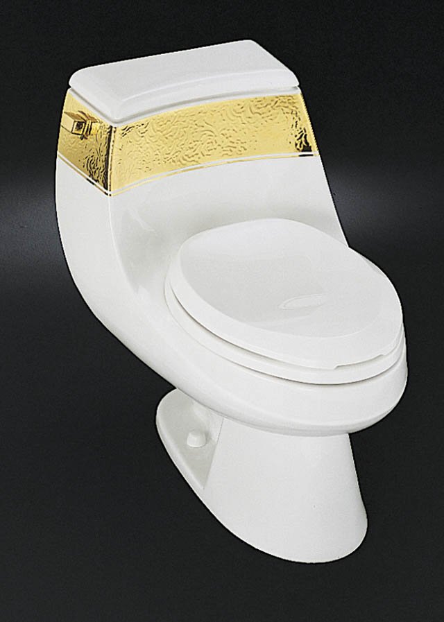 Kohler K-14291-PD Laureate design on San Martine Toilet