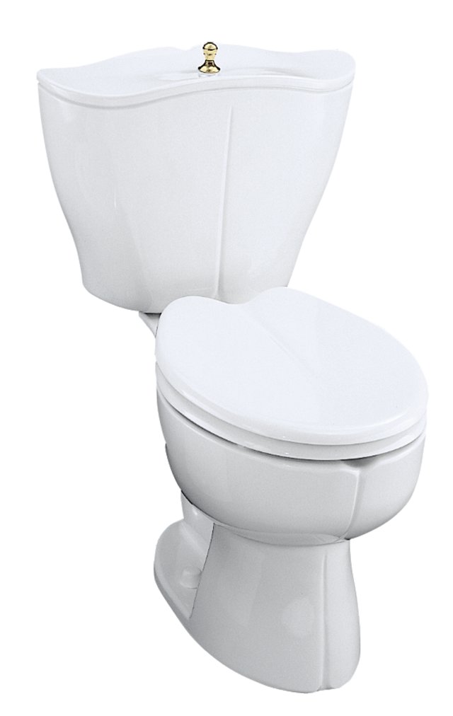 Kohler K-3447-BR Fleur round-front toilet with Vibrant Polish