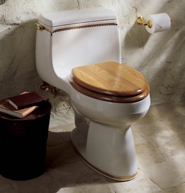 Kohler K-14345-WF Prairie Flowers(TM) design on Gabrielle(TM) Comfort Height(TM) one-piece elongated toilet